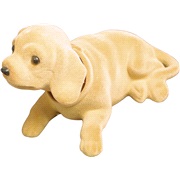 Shaky dog